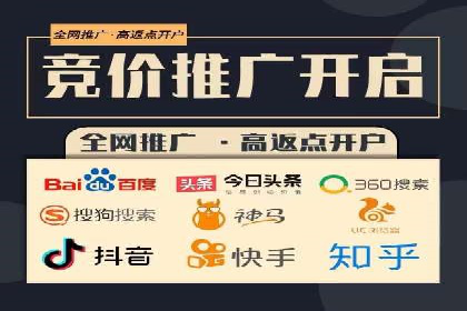 百度优化推广案例：打造高转化率网站